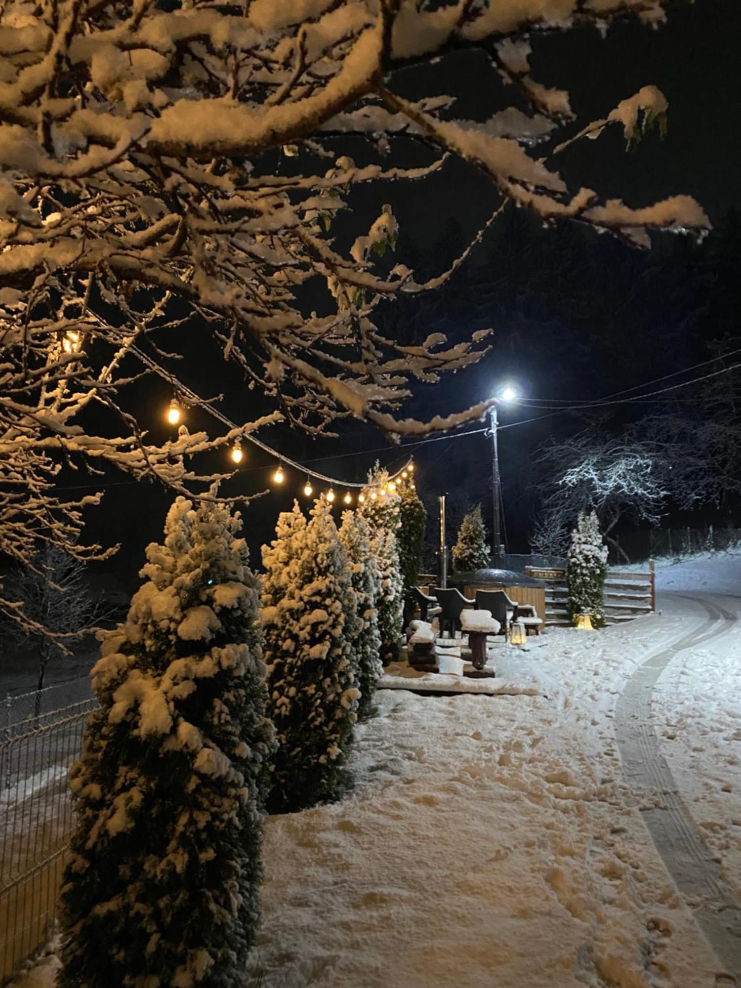 Cabana Bogdi Borşa Exterior foto